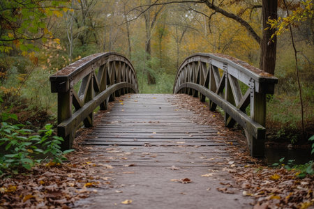 Charming wooden bridge covered with fallen leaves amidst autumnal treesの素材