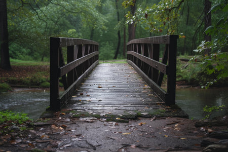 Wooden bridge in a lush forest, with wet foliage after a soothing rainの素材