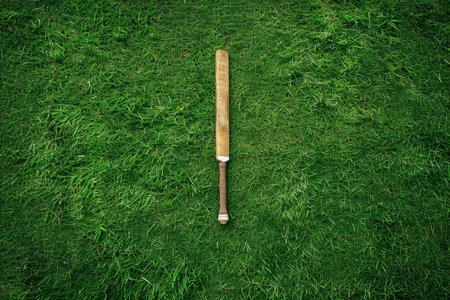 Top view of a cricket bat and ball lying on lush green grass, symbolizing sports and outdoor activitiesの素材