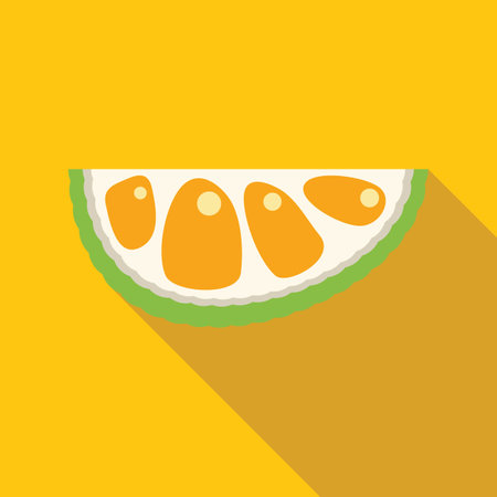 Slice of bergamot showing segments, simple flat design icon with long shadow on yellow backgroundのイラスト素材