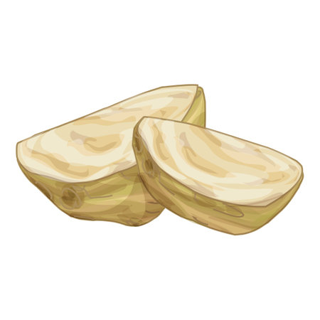 Two slices of fresh celery root lying on white backgroundのイラスト素材