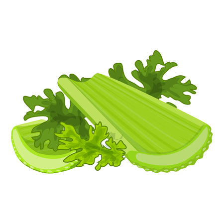 Green celery stalks with leaves lying on a white backgroundのイラスト素材