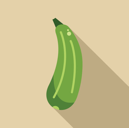 Fresh green zucchini showing long shadow on light background, flat design illustrationのイラスト素材