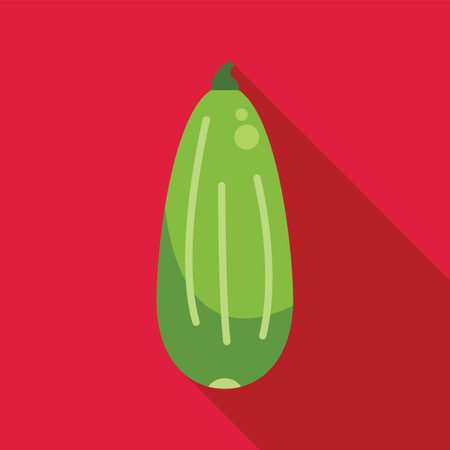 Green zucchini squash with long shadow on red background, minimalist illustration of a healthy vegetableのイラスト素材