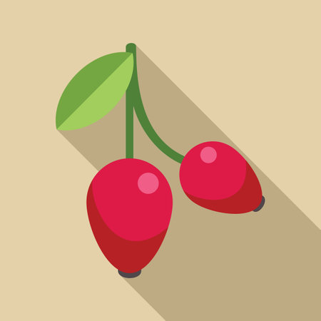 Two ripe rose hips are hanging from a branch with a green leaf, casting a long shadowのイラスト素材