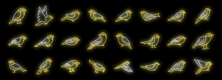 Set of neon icons with birds in different poses, flying, sitting and pecking birds glowing on dark backgroundのイラスト素材