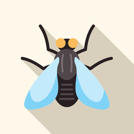 House fly insect spreading germs with its wings wide open, top view of common house flyのイラスト素材