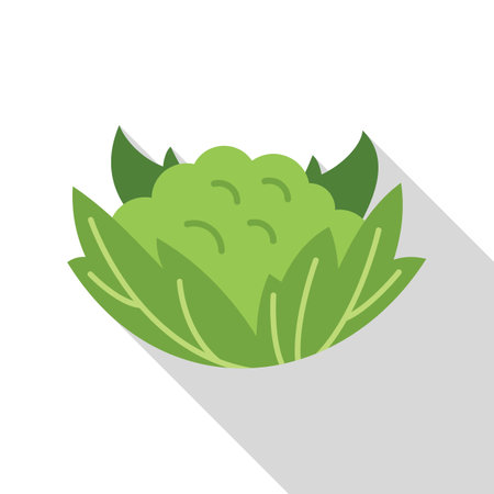 Cartoon style green cauliflower with leaves growing on the ground, isolated on a white backgroundのイラスト素材