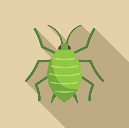 Minimalist vector illustration of a green aphid insect spreading its legs on a light brown background with a long shadowのイラスト素材