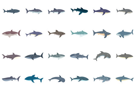 This is a collection of whale sharks swimming in different posesのイラスト素材