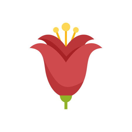 Red flower blooming with yellow pistils on a white background, simple floral design elementのイラスト素材