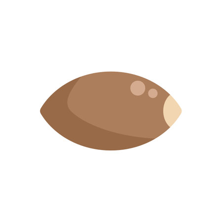 Simple vector icon of a sapodilla fruit, isolated on a white backgroundのイラスト素材