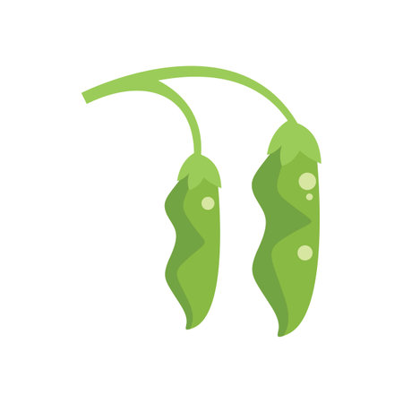 Simple vector illustration of two green pea pods hanging on a stem, isolated on a white backgroundのイラスト素材