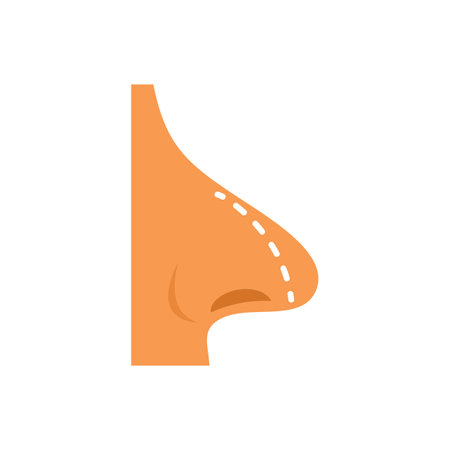 This illustration shows a rhinoplasty procedure being performed on a noseのイラスト素材