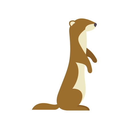 Minimalist vector illustration of a curious stoat standing on its hind legs, isolated on a white backgroundのイラスト素材