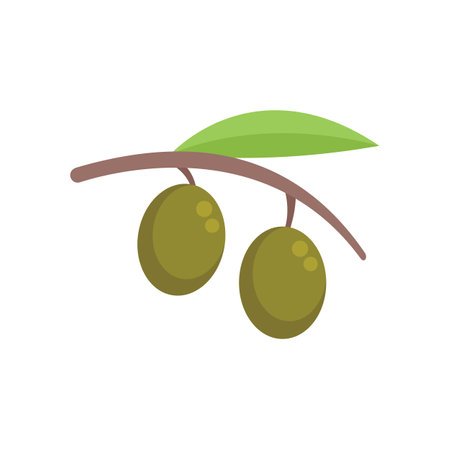 Simple illustration of an olive branch holding two green olivesのイラスト素材