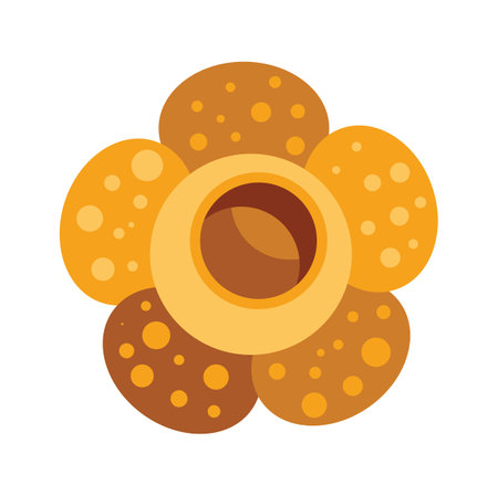 Rafflesia flower blooming in nature showing its colorful petalsのイラスト素材