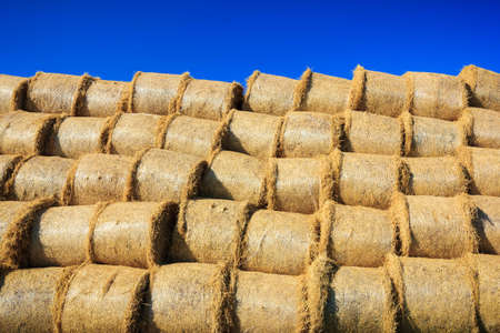 Pile of straw bales on farmの写真素材