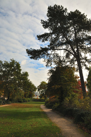 Quiet walking path in a city park surrounded by greenery and autumn trees. A tall pine and colorful foliage create a peaceful nature atmosphere in the urban area.の写真素材