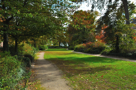 A peaceful autumn park alley where small paths divide the green lawn. Gentle shades of foliage create a calm, relaxing atmosphere of nature.の写真素材
