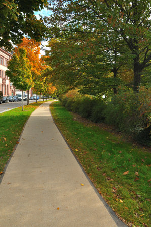 A walkway stretches through bushes and autumn trees, forming a peaceful route for walks in the urban area.の写真素材