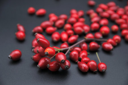 Scattered ripe rosehip berries lie on a dark surface. Their vibrant red color creates a striking contrast, highlighting natural simplicity and seasonal freshness.の写真素材