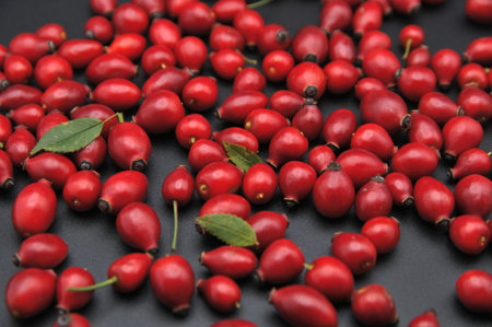 Deep red rosehip fruits scattered on a dark surface, creating a vivid contrast and highlighting natural textures with a strong autumn mood.の写真素材