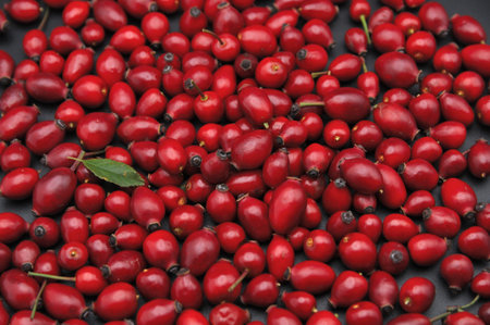 A dense spread of ripe rosehip berries on a dark surface. Deep red tones highlight their natural decorative appearance and vivid contrast.の写真素材