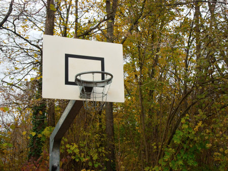 An outdoor basketball hoop with a metal chain stands among autumn trees, evoking a quiet backyard sports mood.の写真素材