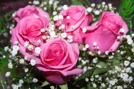 Bouquet of pink roses close-up backgroundの写真素材