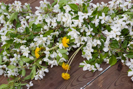 Spring apple tree blossom on rustic wooden backgroundの写真素材