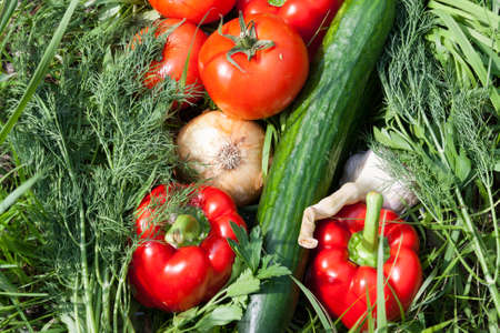 fresh vegetables and fruits background, food top viewの写真素材
