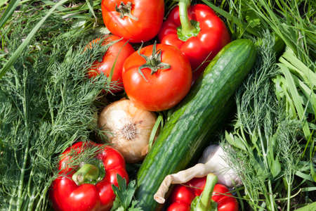 fresh vegetables and fruits background, food top viewの写真素材