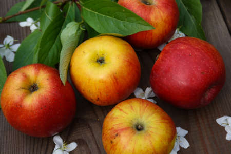 Fresh apples and apple blossoms on a dark wooden backgroundの写真素材