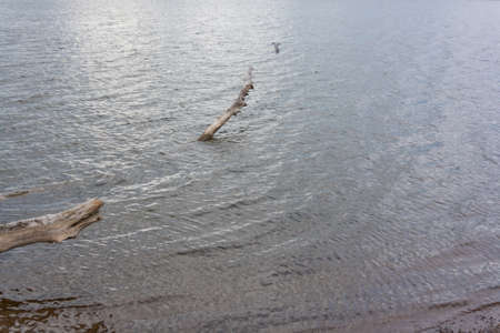 Nice weather at a beatiful coast outdoorsの写真素材