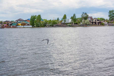 Nice weather at a beatiful coast outdoorsの写真素材