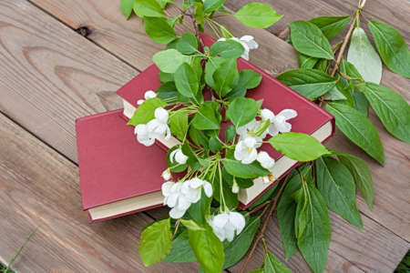 Two red books on the background of a wooden tableの写真素材