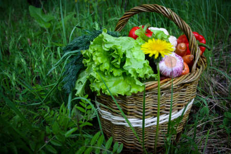 Fresh vegetables in a basket on a nature backgroundの写真素材