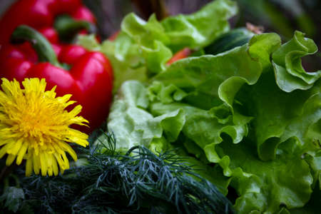 Fresh vegetables in a basket on a nature backgroundの写真素材