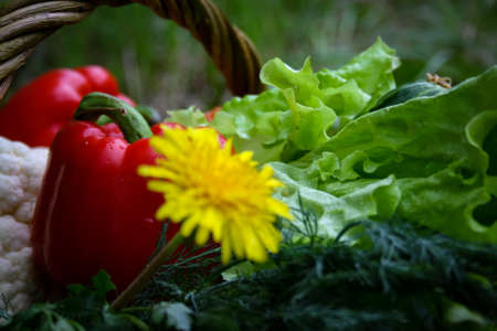 Fresh vegetables in a basket on a nature backgroundの写真素材