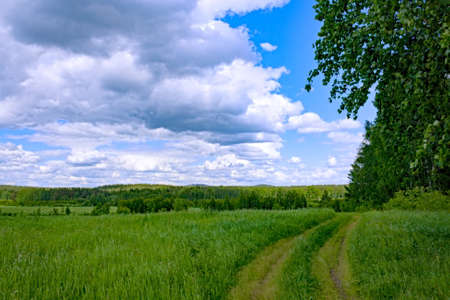 Beautiful summer landscape green meadow blue sky clouds