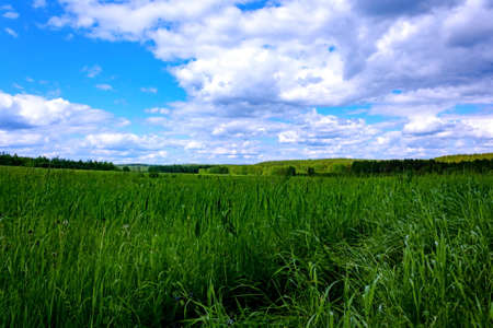 Beautiful summer landscape green meadow blue sky cloudsの写真素材