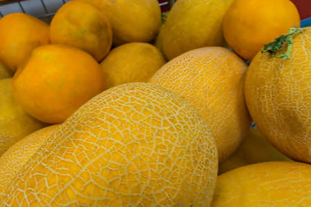 Fresh organic yellow melon stand out among many large background melons in the market.の写真素材