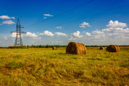 summer rural landscape with a field and hay.の写真素材