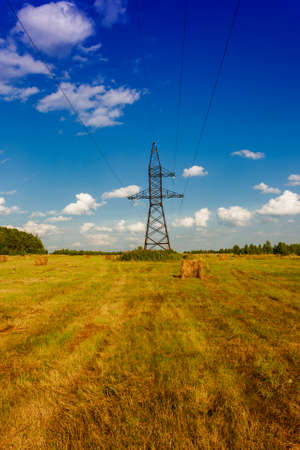 summer rural landscape with a field and hay.の写真素材