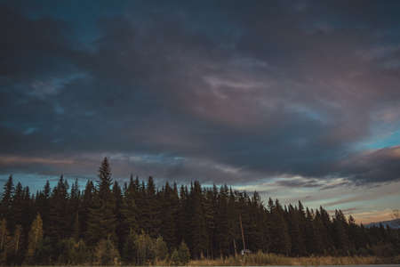 Sunset at the edge of the forest in the Ural Mountains in autumnの写真素材
