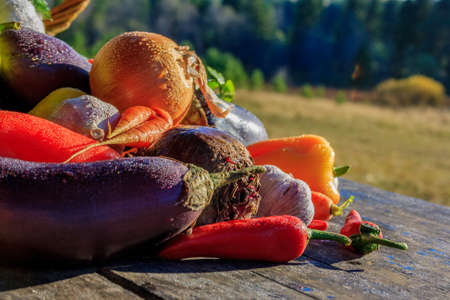 Vegetables . Fresh Bio Vegetable in a Basket. Over Nature Background
