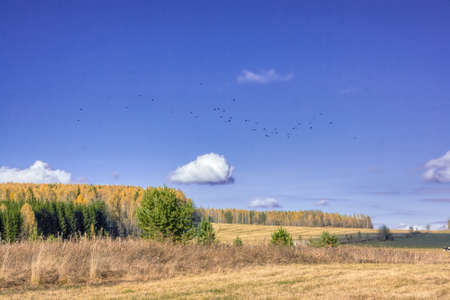 Autumn landscape sloping meadow on a background of forest and mountains Ural Russia