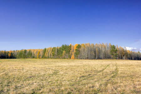 Autumn landscape sloping meadow on a background of forest and mountains Ural Russia