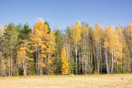 Autumn landscape sloping meadow on a background of forest and mountains Ural Russiaの写真素材